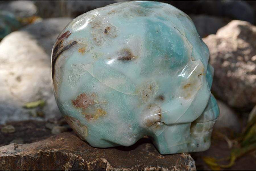 Crystal Wholesale Amazonite Crystal Skull Carving I - Large