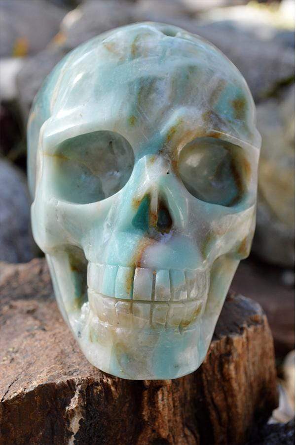 Crystal Wholesale Amazonite Crystal Skull Carving I - Large