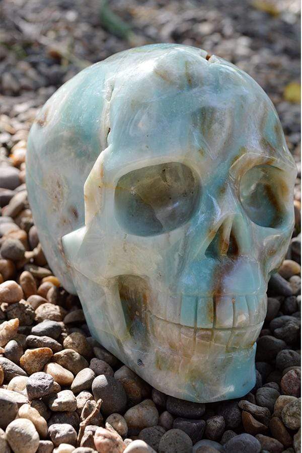 Crystal Wholesale Amazonite Crystal Skull Carving I - Large