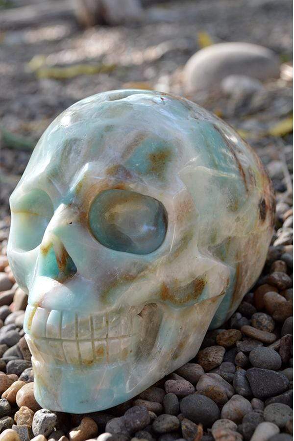 Crystal Wholesale Amazonite Crystal Skull Carving I - Large