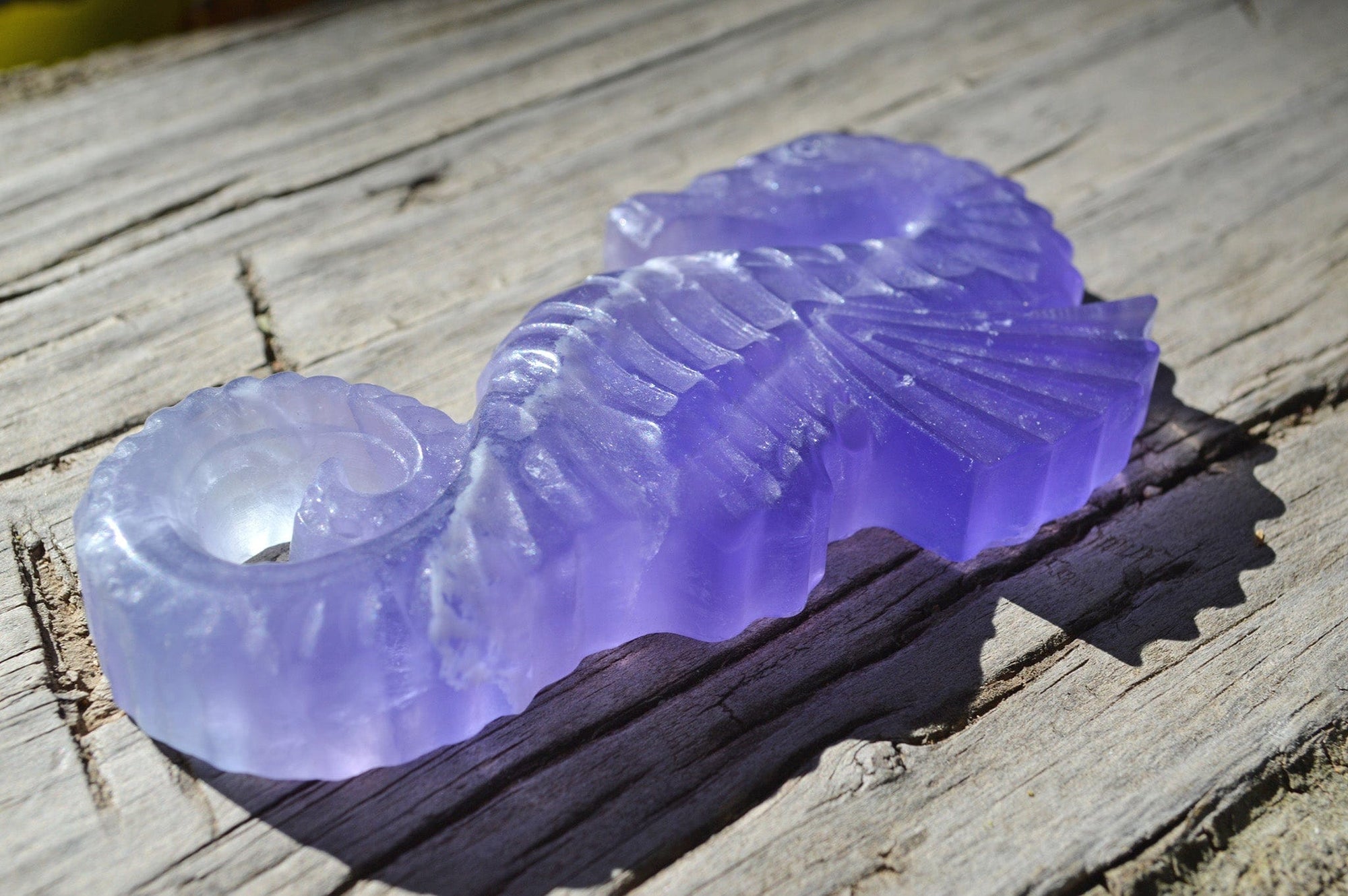 Crystal Wholesale Blue and Purple Fluorite Seahorse | Hand Carved  | Medium | AAA Quality | I
