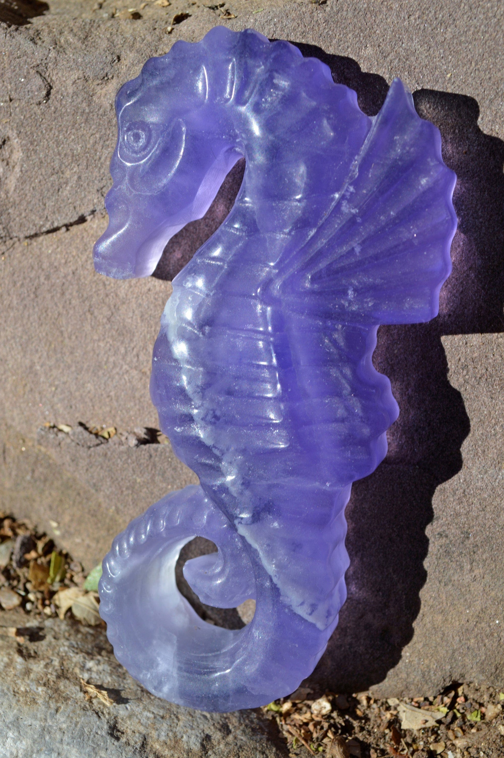 Crystal Wholesale Blue and Purple Fluorite Seahorse | Hand Carved  | Medium | AAA Quality | I