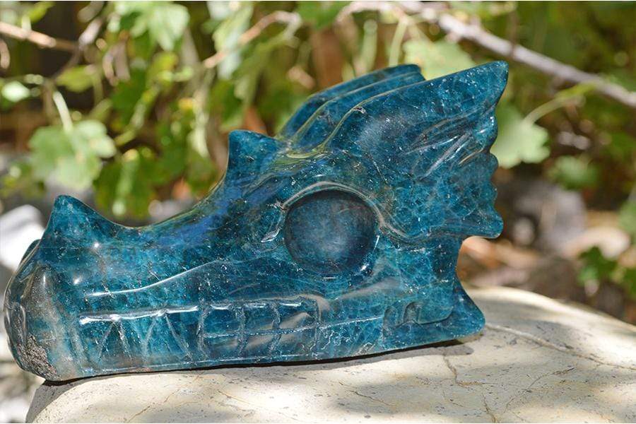 Crystal Wholesale Blue Apatite - Crystal Dragon Skull Carving