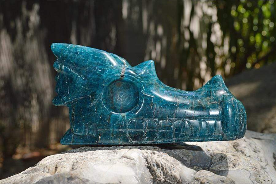 Crystal Wholesale Blue Apatite - Crystal Dragon Skull Carving