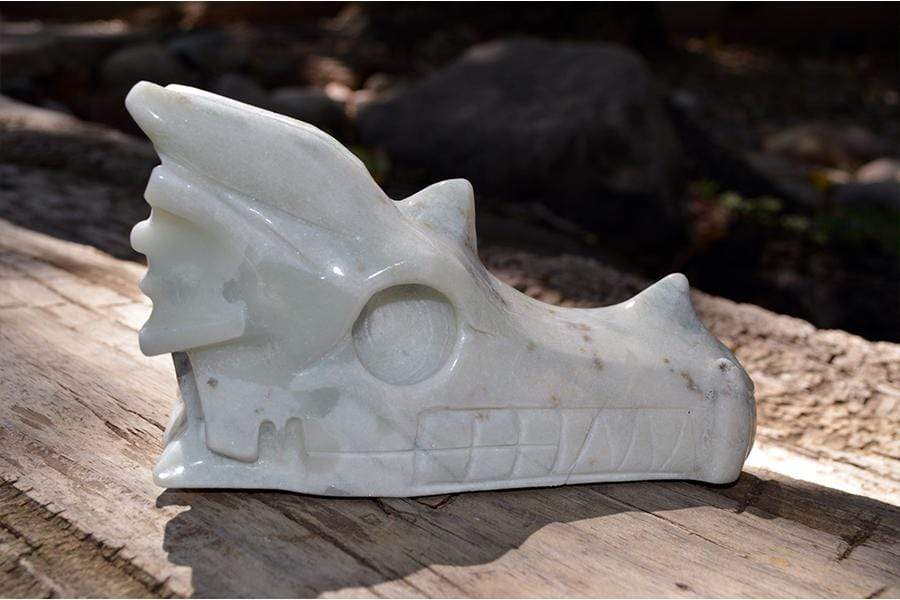 Crystal Wholesale Blue Aragonite - Crystal Dragon Skull Carving IV