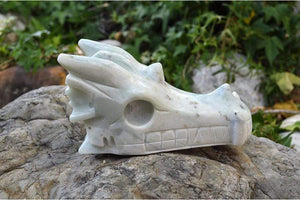 Crystal Wholesale Blue Aragonite - Crystal Dragon Skull Carving IV