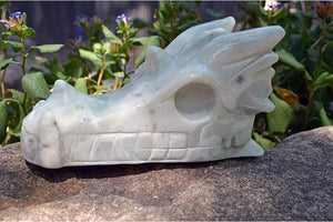 Crystal Wholesale Blue Aragonite - Crystal Dragon Skull Carving IV