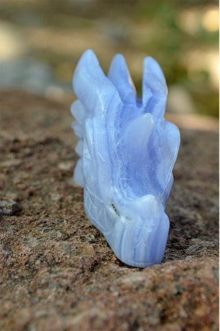 Blue Crazy Lace Agate Crystal Dragon Skull Carving