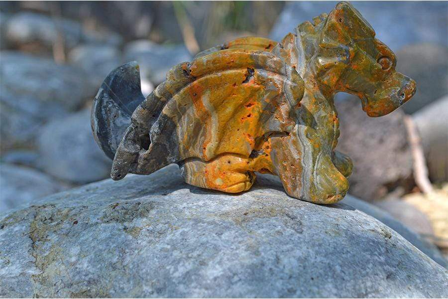 Crystal Wholesale Bumblebee "Jasper" Crystal Dragon Carving - Medium