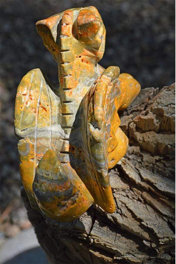Crystal Wholesale Bumblebee "Jasper" Crystal Dragon Carving - Medium