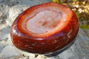 Crystal Wholesale Carnelian Crystal Carved Bowl - Medium | IV