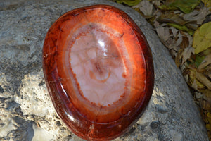 Crystal Wholesale Carnelian Crystal Carved Bowl - Medium | IV