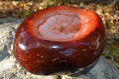 Carnelian Crystal Carved Bowl - Medium | IV