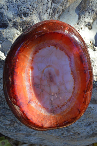 Carnelian Crystal Carved Bowl - Medium | IV