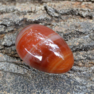 Crystal Wholesale Carnelian Crystal Carved Egg - Medium