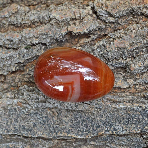 Carnelian Crystal Carved Egg - Medium