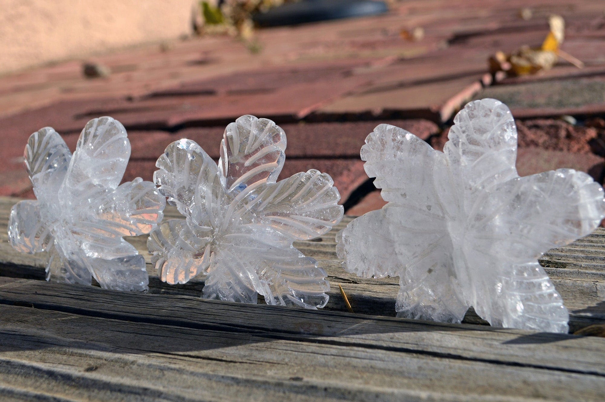 Crystal Wholesale Clear Quartz Crystal Snowflakes, with Rainbows - AAA - Small/Medium
