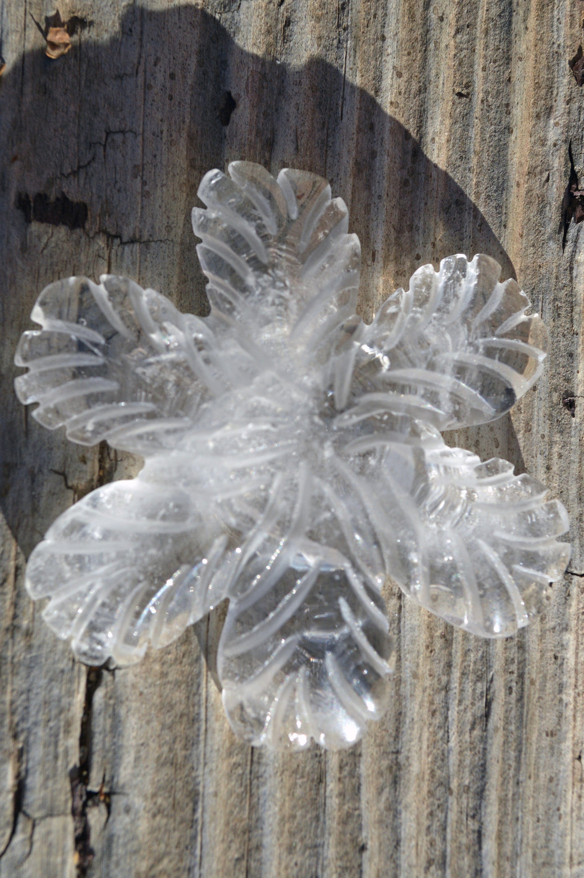 Crystal Wholesale Clear Quartz Crystal Snowflakes, with Rainbows - AAA - Small/Medium