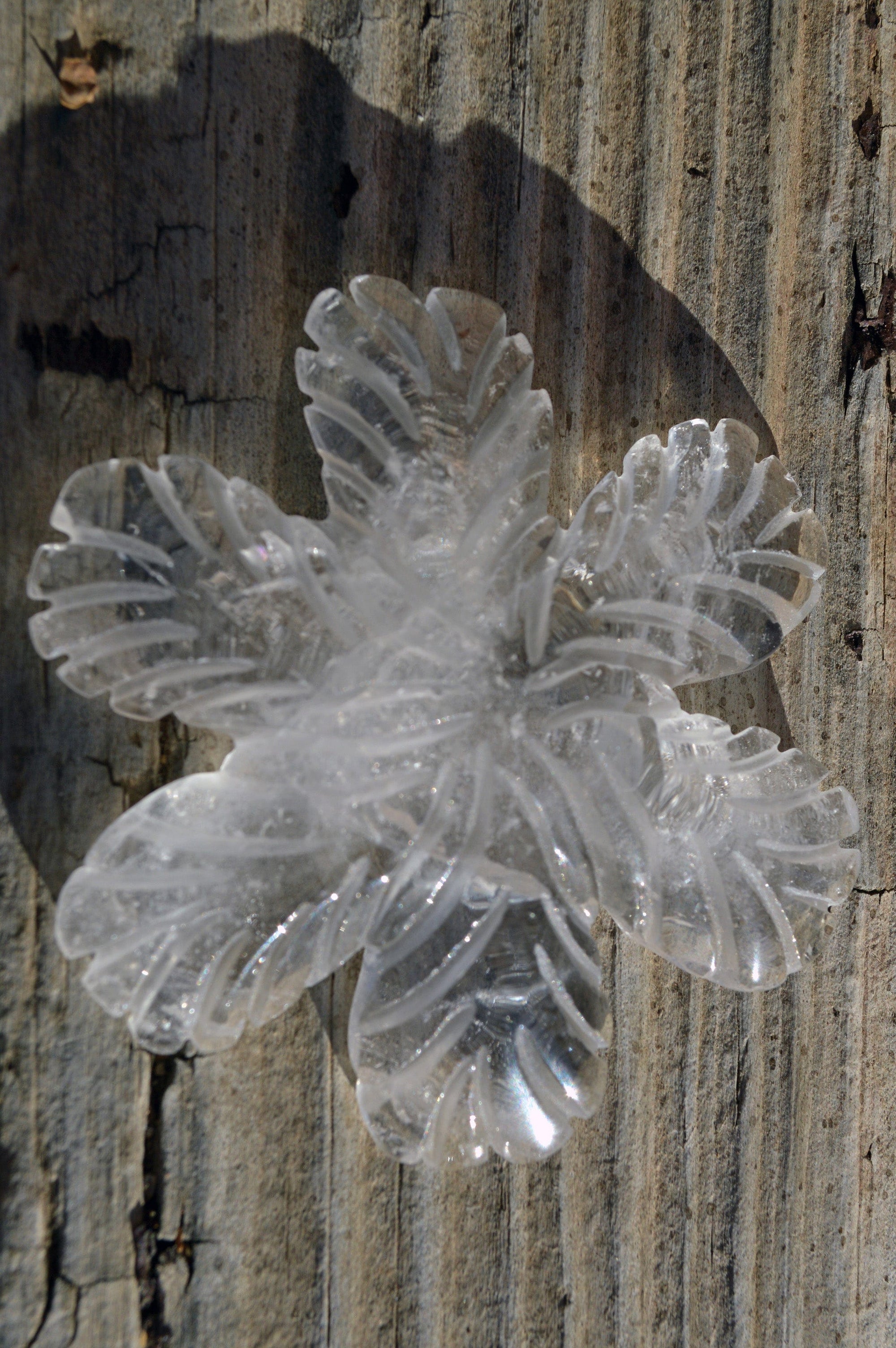 Crystal Wholesale Clear Quartz Crystal Snowflakes, with Rainbows - AAA - Small/Medium