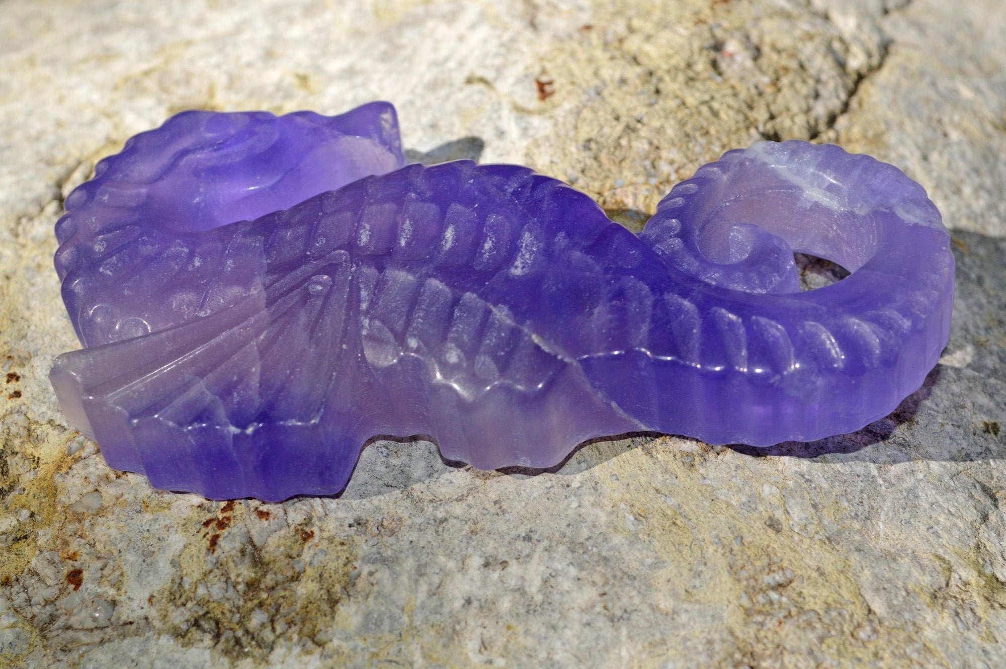 Crystal Wholesale Copy of Blue and Purple Fluorite Seahorse | Hand Carved  | Medium | AAA Quality | II