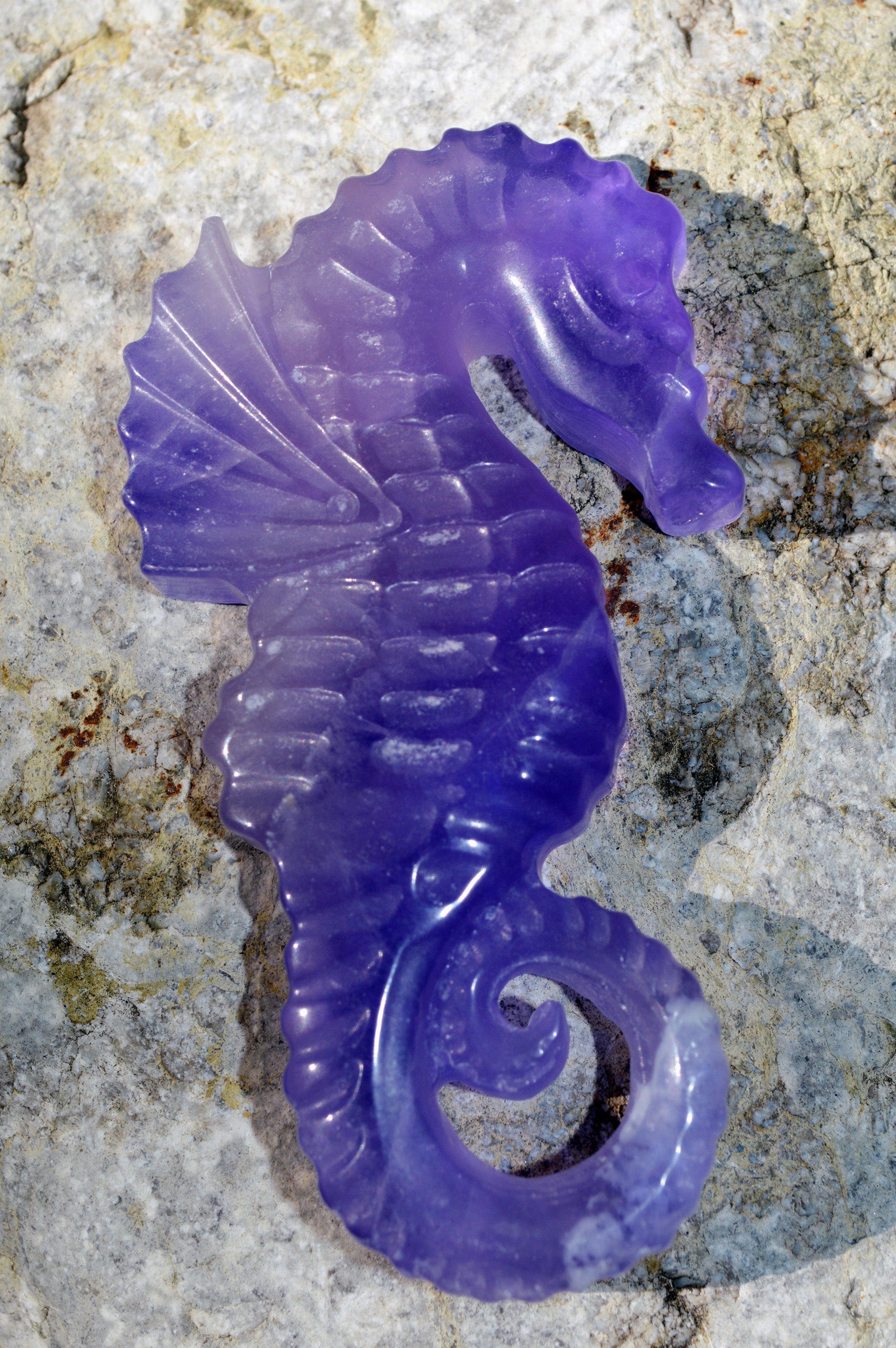 Crystal Wholesale Copy of Blue and Purple Fluorite Seahorse | Hand Carved  | Medium | AAA Quality | II