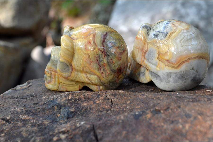 Crystal Wholesale Crazy Lace Agate Sugar Skull Crystal Carving - Small