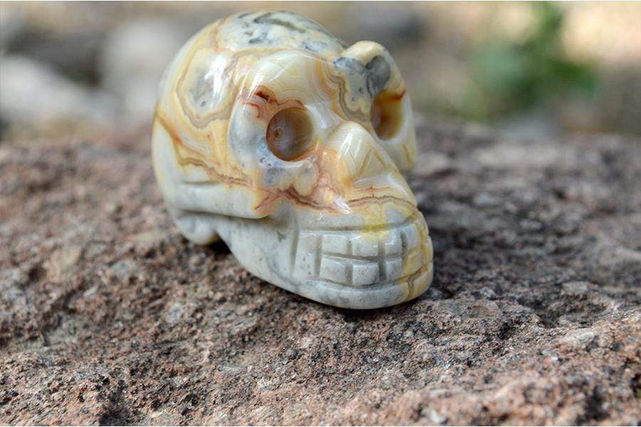 Crystal Wholesale Crazy Lace Agate Sugar Skull Crystal Carving - Small