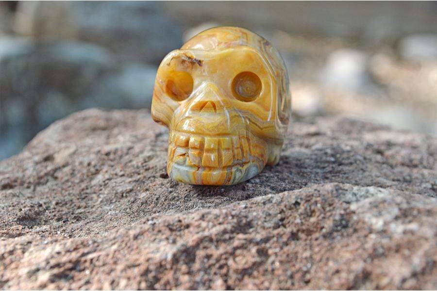 Crystal Wholesale Crazy Lace Agate Sugar Skull Crystal Carving - Small