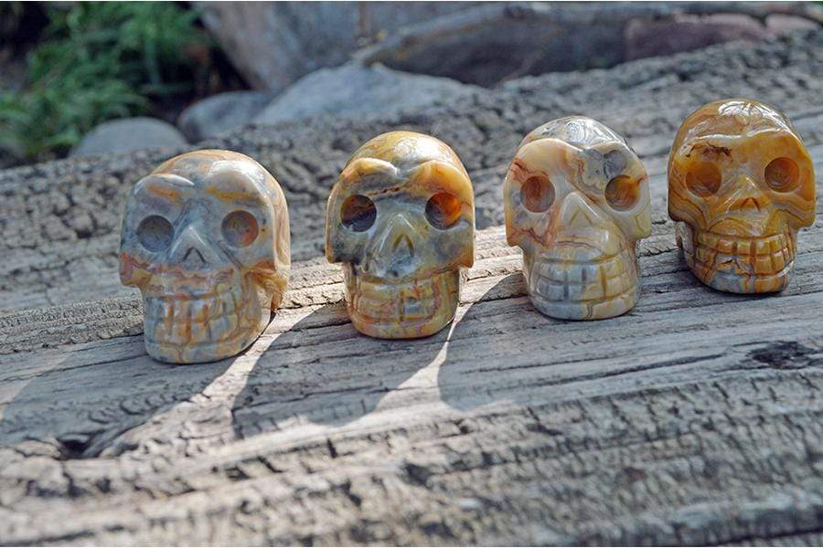 Crystal Wholesale Crazy Lace Agate Sugar Skull Crystal Carving - Small