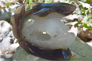 Crystal Wholesale Great White Shark Carved Agate Crystal Geode - Large