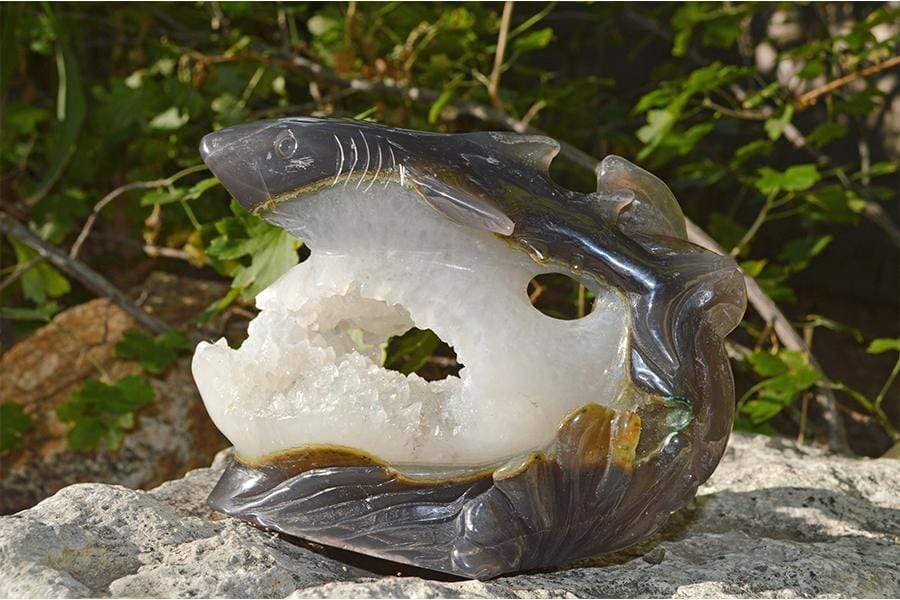 Crystal Wholesale Great White Shark Carved Agate Crystal Geode - Large
