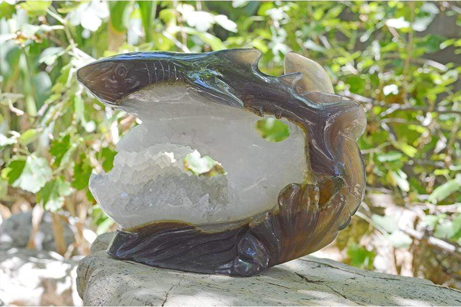 Crystal Wholesale Great White Shark Carved Agate Crystal Geode - Large