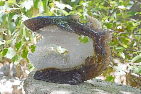 Great White Shark Carved Agate Crystal Geode - Large