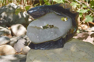 Crystal Wholesale Great White Shark Carved Agate Crystal Geode - Large