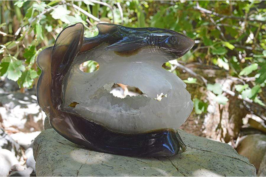 Crystal Wholesale Great White Shark Carved Agate Crystal Geode - Large