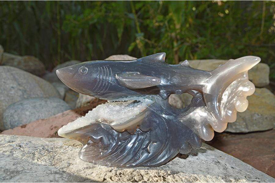 Crystal Wholesale Great White Shark Carved Agate Crystal Geode - Medium