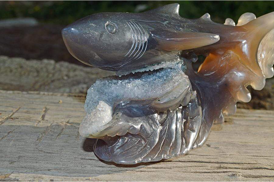 Crystal Wholesale Great White Shark Carved Agate Crystal Geode - Medium