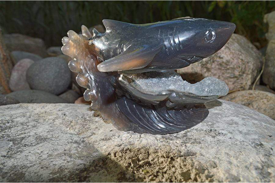 Crystal Wholesale Great White Shark Carved Agate Crystal Geode - Medium