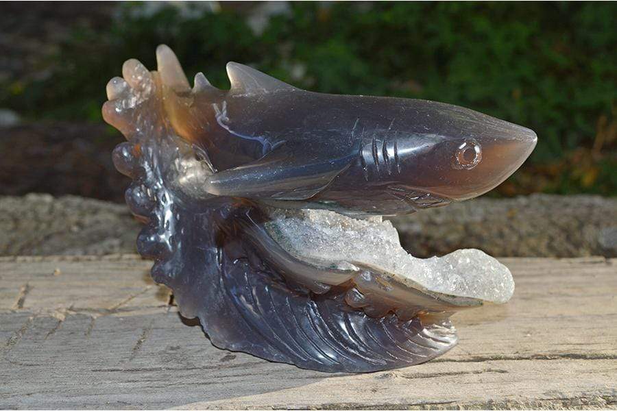 Crystal Wholesale Great White Shark Carved Agate Crystal Geode - Medium