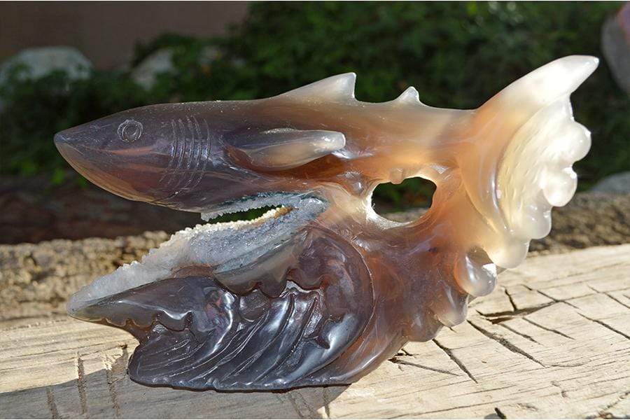 Crystal Wholesale Great White Shark Carved Agate Crystal Geode - Medium