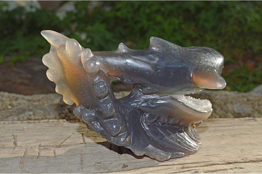 Crystal Wholesale Great White Shark Carved Agate Crystal Geode - Medium