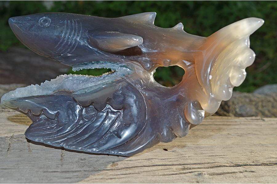 Crystal Wholesale Great White Shark Carved Agate Crystal Geode - Medium