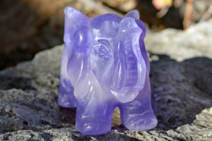 Crystal Wholesale Hand Carved Purple & White Fluorite Elephant| AAA++ Quality | Medium