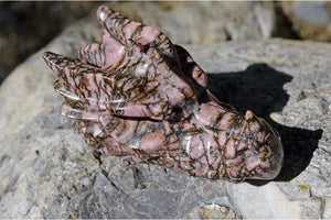 Crystal Wholesale i - 12.38 oz Rhodonite Crystal Dragon Skull Carving - Small