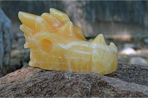 Crystal Wholesale i - 31.15 oz Pale Orange Calcite (with White Inclusions) Crystal Dragon Skull Carving - Medium