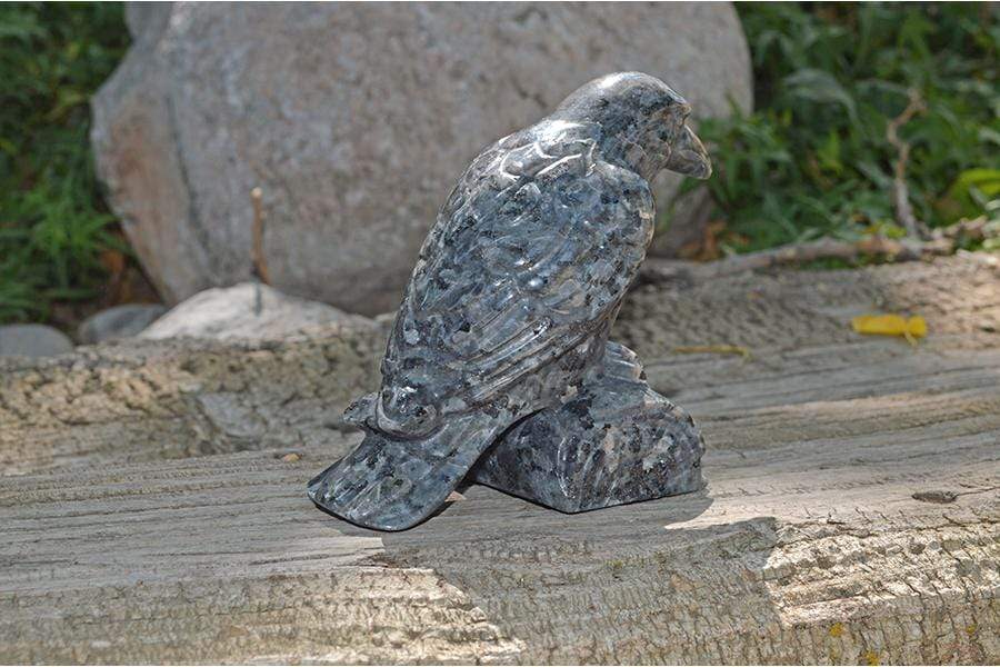 Crystal Wholesale Larvikite Raven Crystal Carving - Medium
