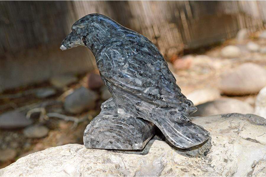 Crystal Wholesale Larvikite Raven Crystal Carving - Medium