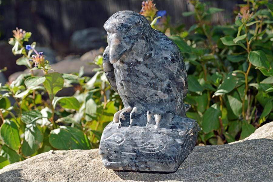 Crystal Wholesale Larvikite Raven Crystal Carving - Medium