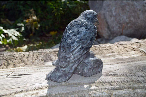Larvikite Raven Crystal Carving - Medium