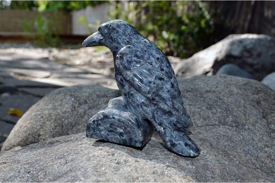 Crystal Wholesale Larvikite Raven Crystal Carving - Medium